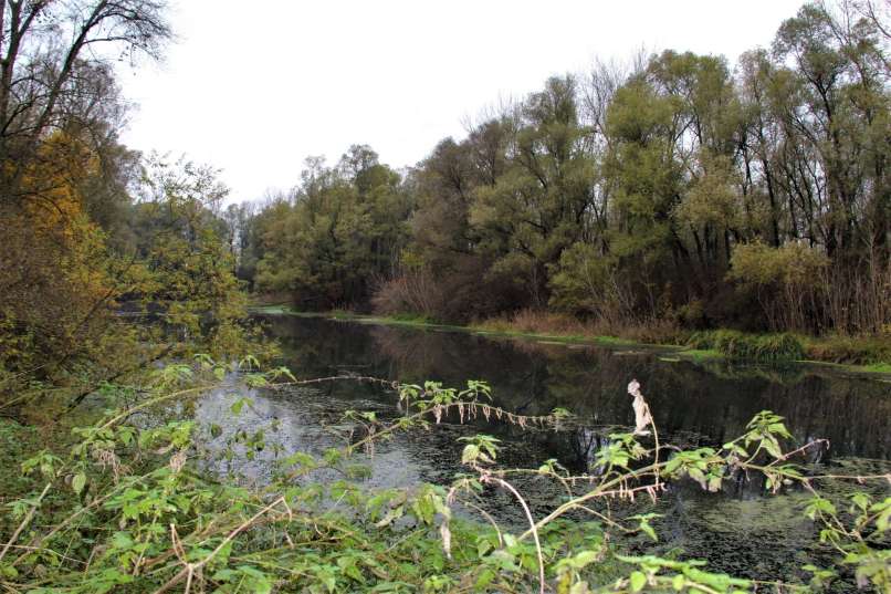 laguna-v-šturmovcih