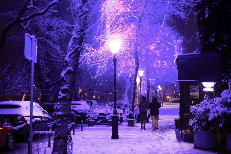 sneg, ljubljana, 12.12.2019 1