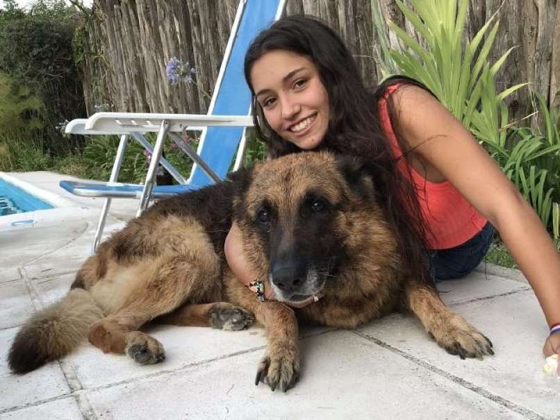 Lara Sanson, napad psa