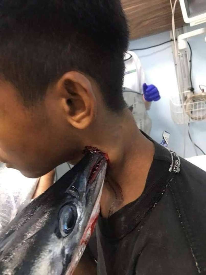 riba predrla vrat, indonezija