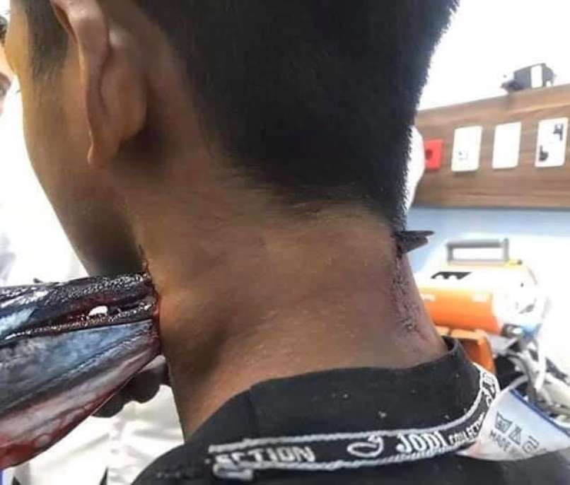riba predrla vrat, indonezija