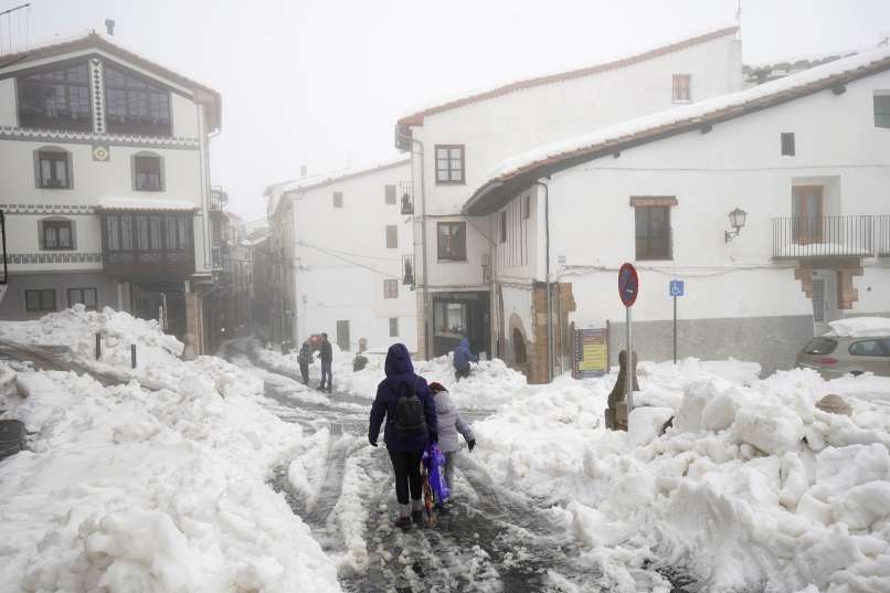 morella, sneg, neurje gloria