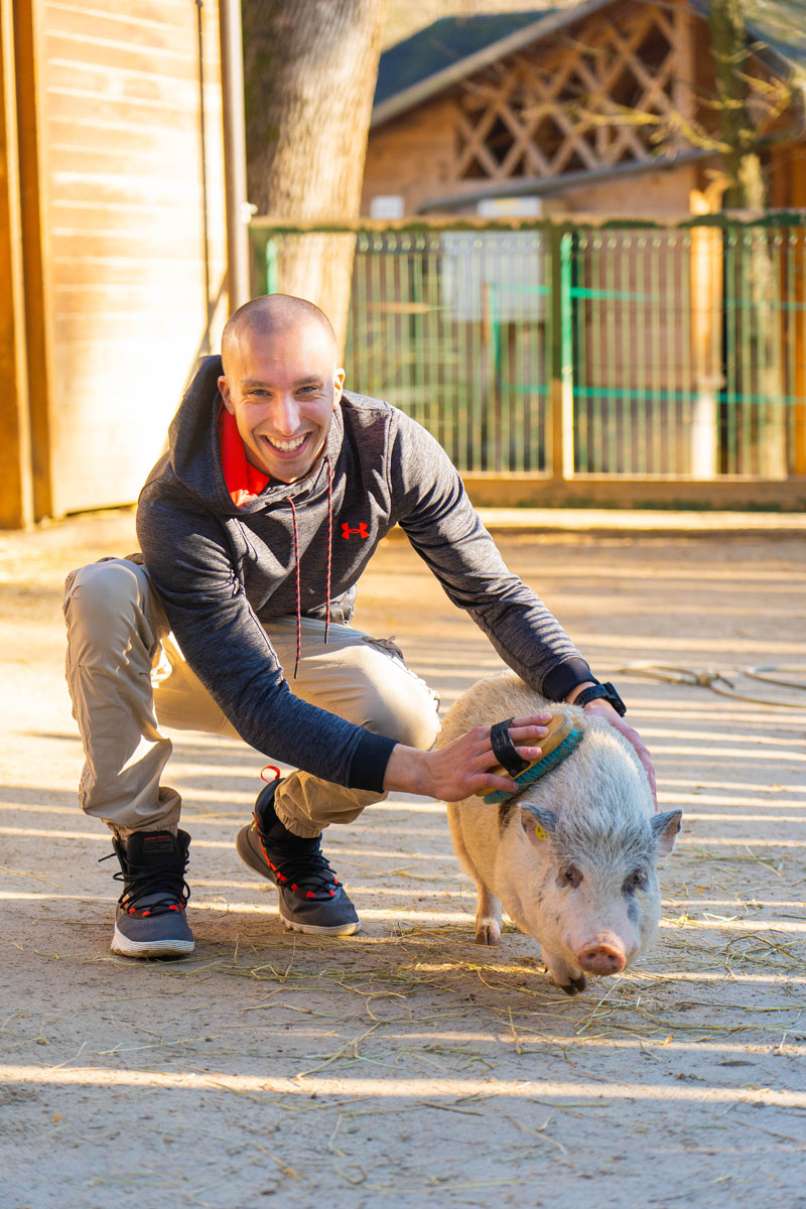 vege filip krzisnik - simen
