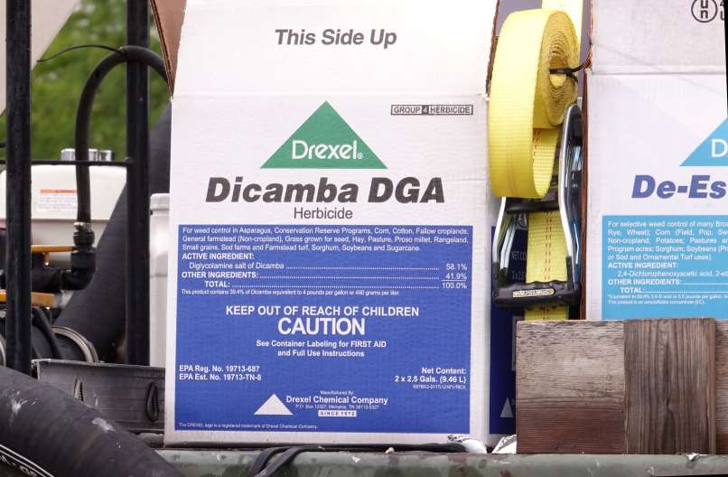 dicamba, herbicid