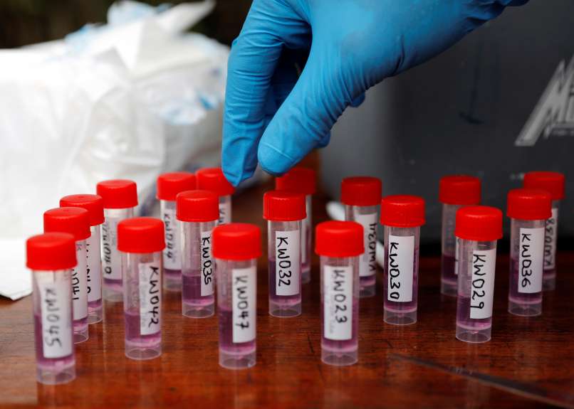 koronavirus, testiranje