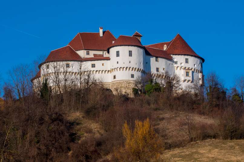 Dvor Veliki Tabor, Desinić (2)
