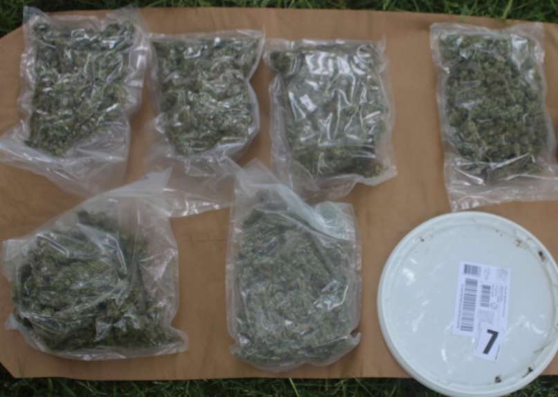 droga, metlika