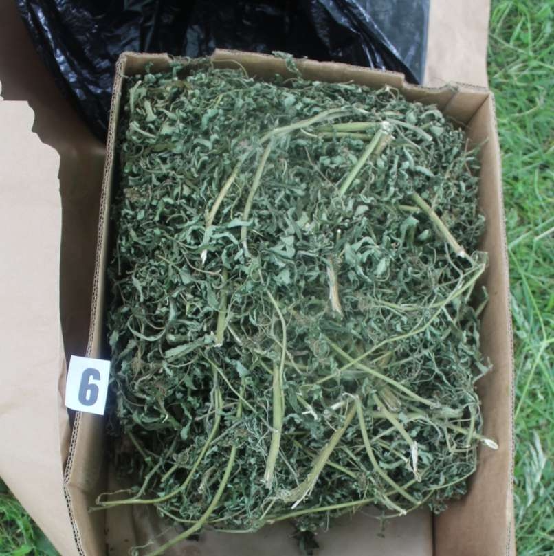 droga, metlika