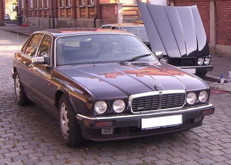jaguar