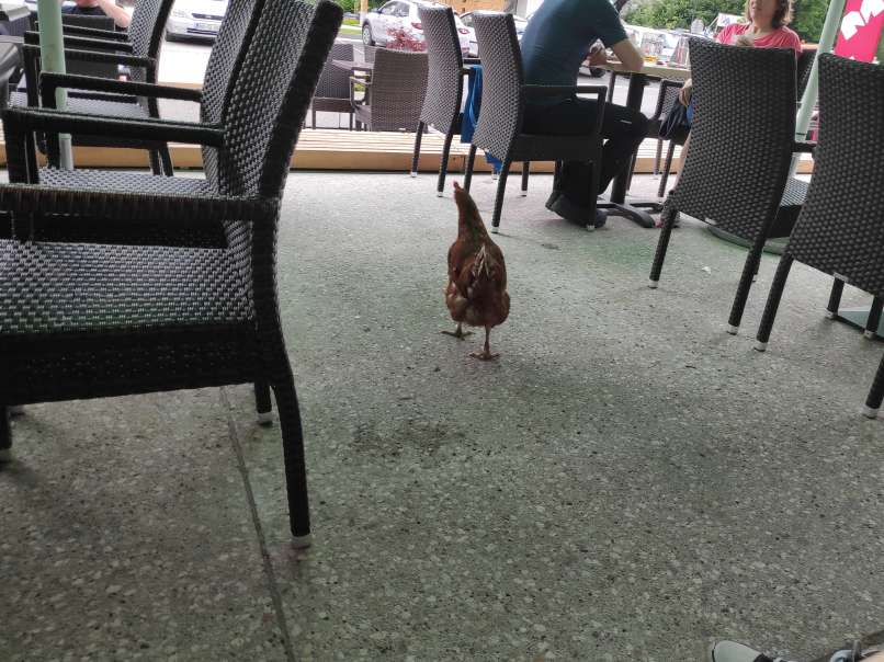 buf, bife, stara fužina