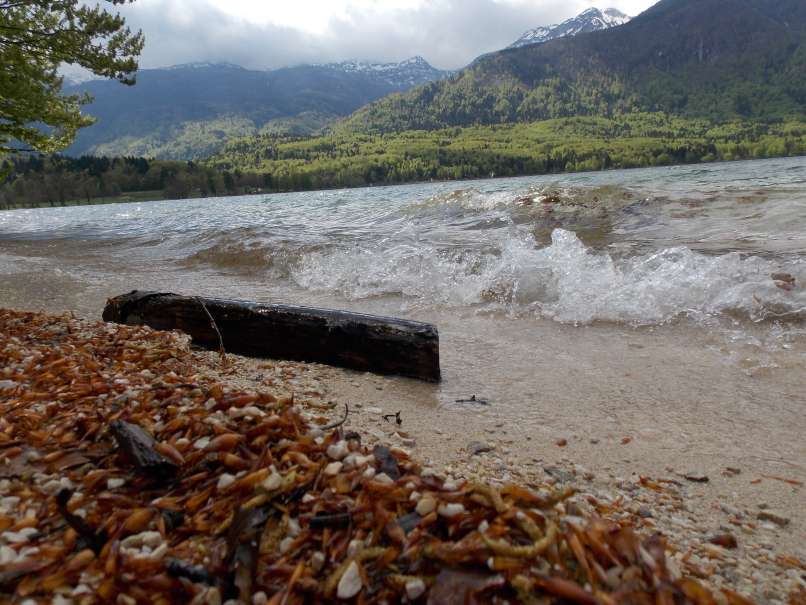 bohinjsko jezero, bohinj