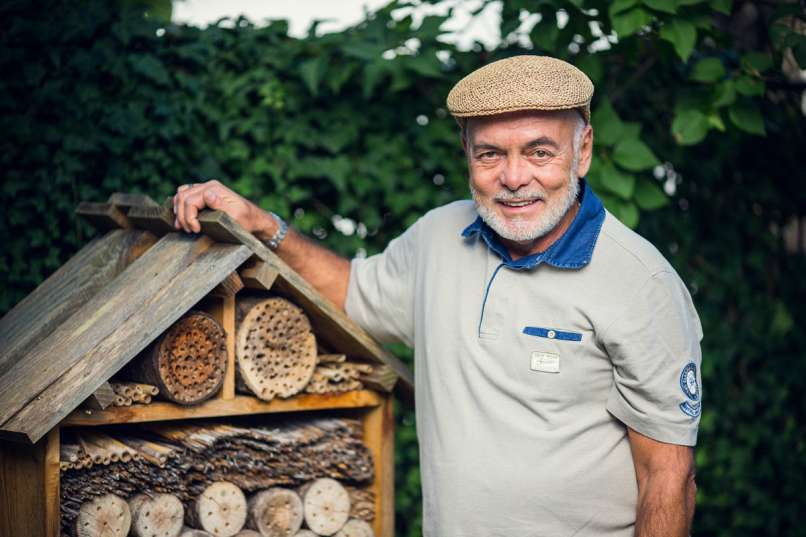 čebele, anton komat