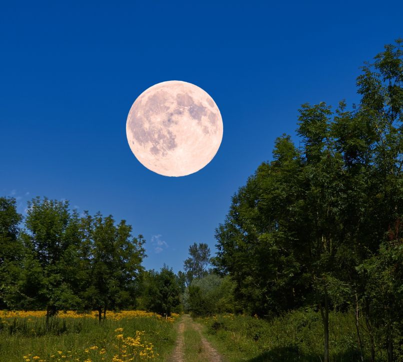 polna luna