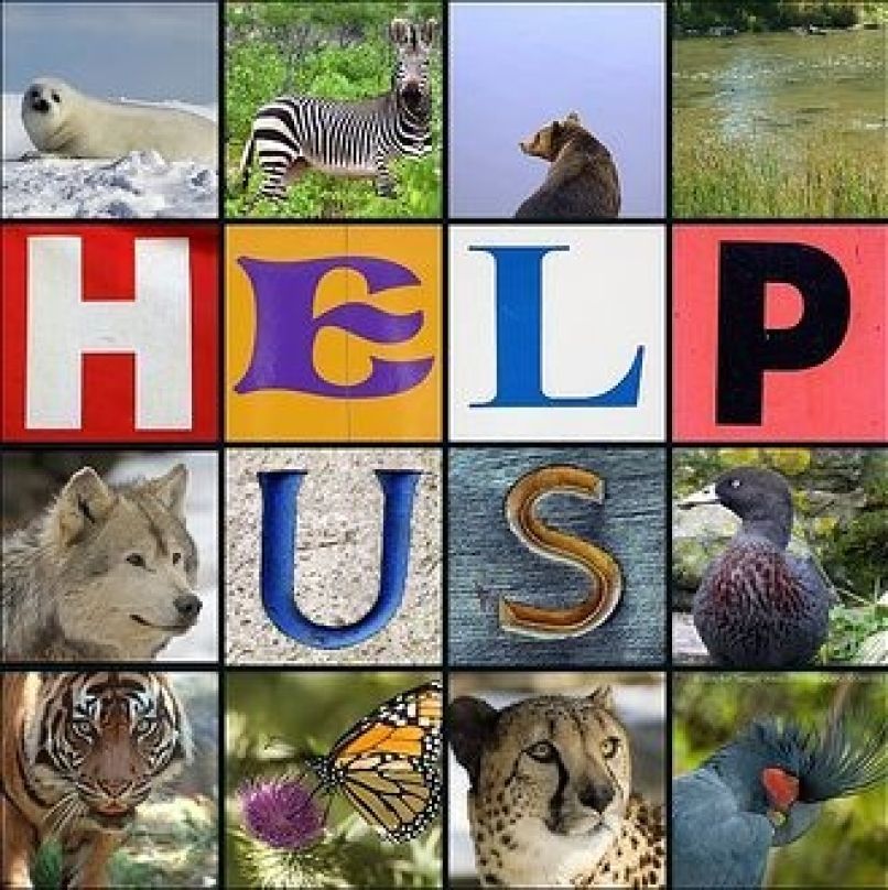 help