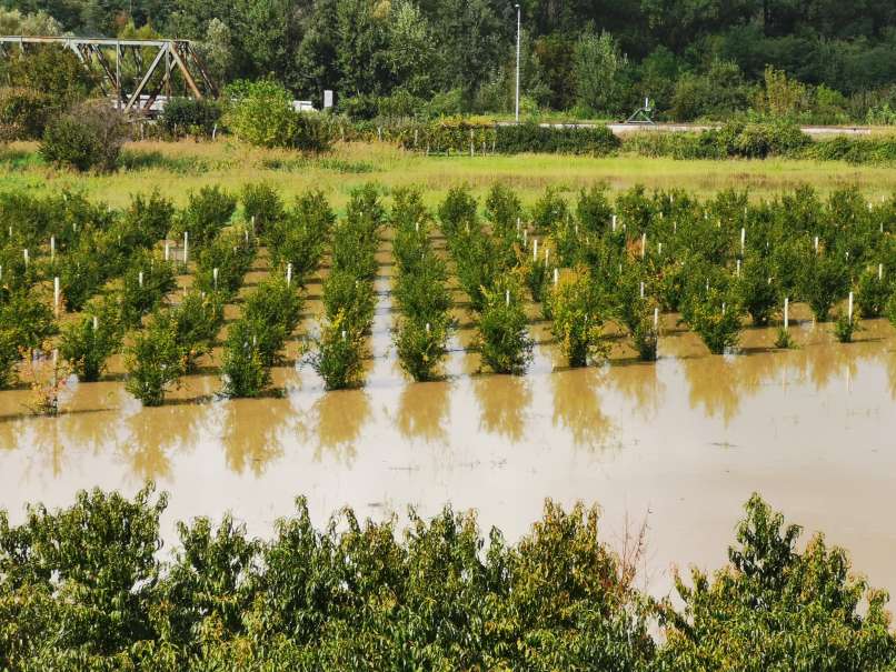 posledice neurij na goršikem, severna primorska, štab, poplava, padavine