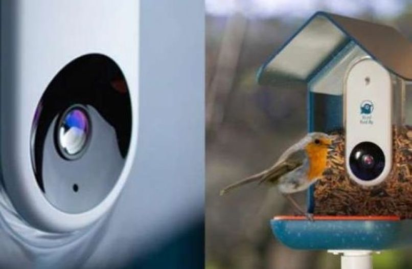 bird buddy, ptičja hišica