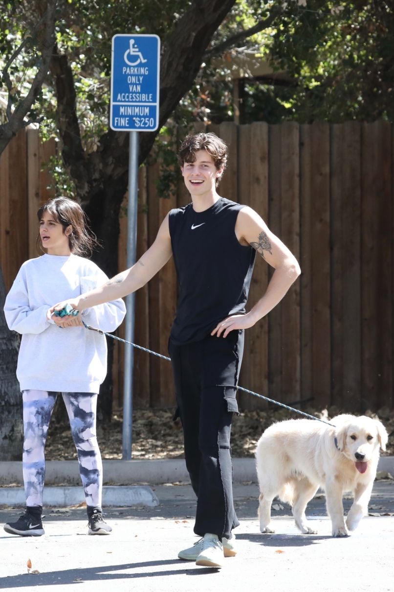 camila-cabello, shawn-mendes