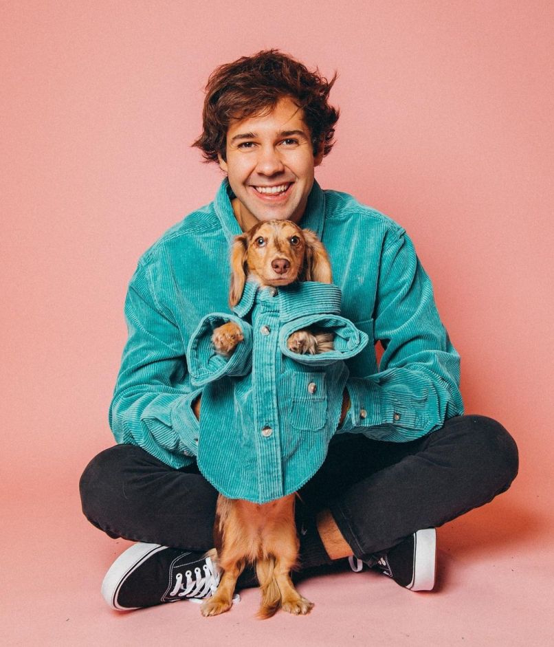 David Dobrik