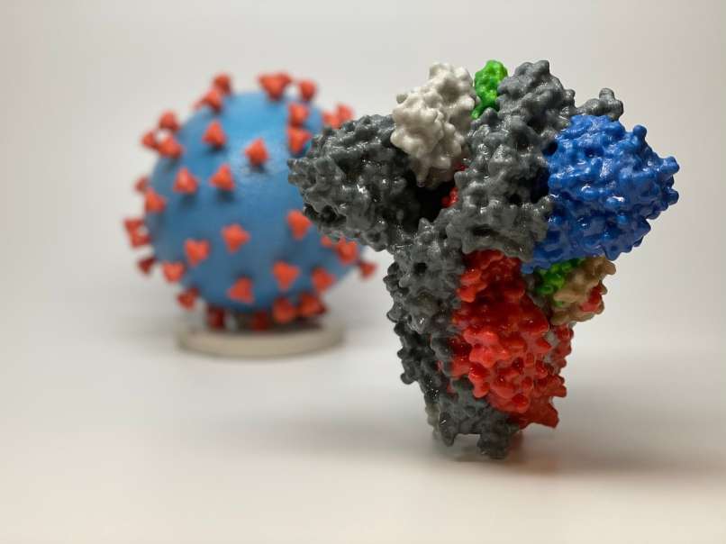 koronavirus, sars-cov-2