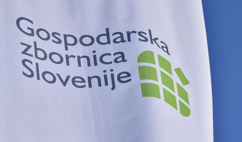 Gospodarska zbornica Slovenije, gzs