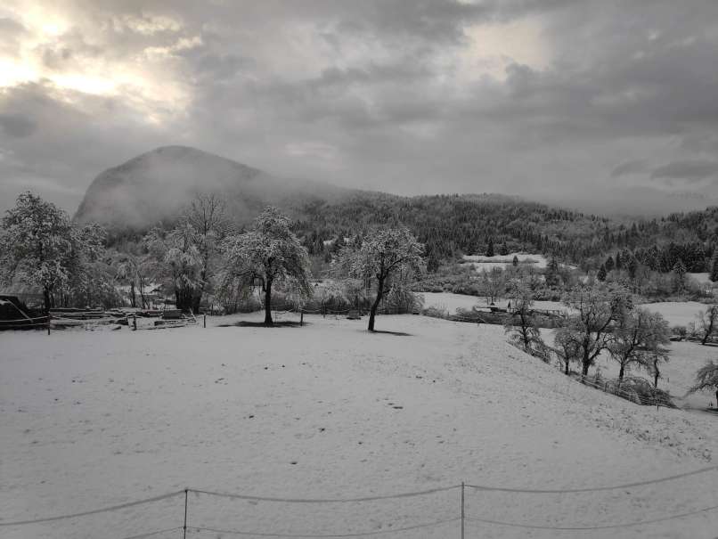 bohinj, sneg, stara-fužina
