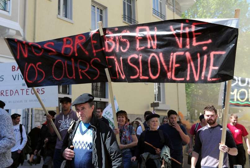 bearn, kmetje, protest, slovenski medvedi