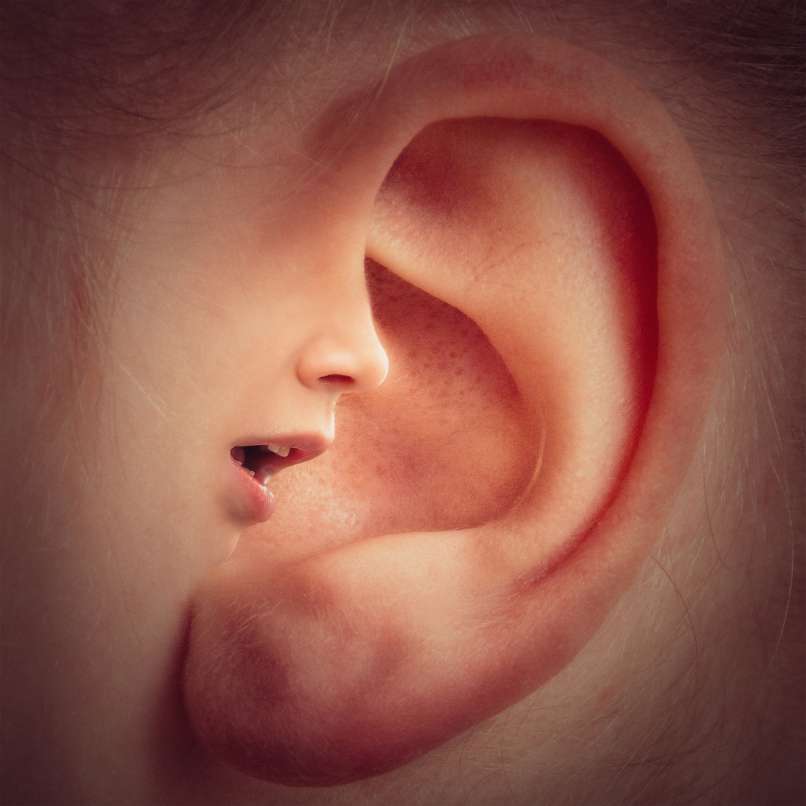 ear-3971050_1920