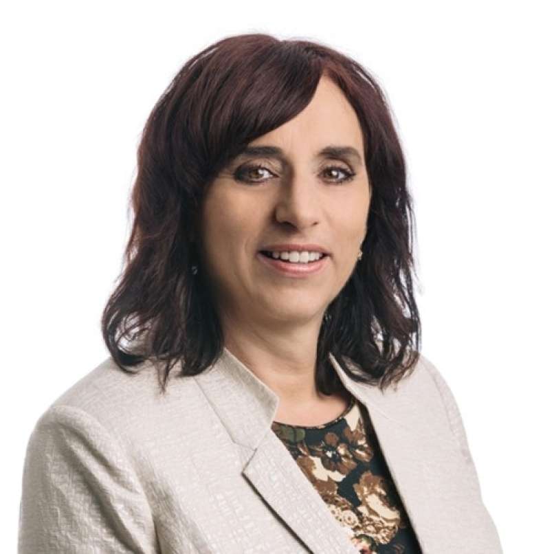 alenka štrucl dovgan