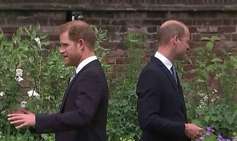 princ william, princ harry