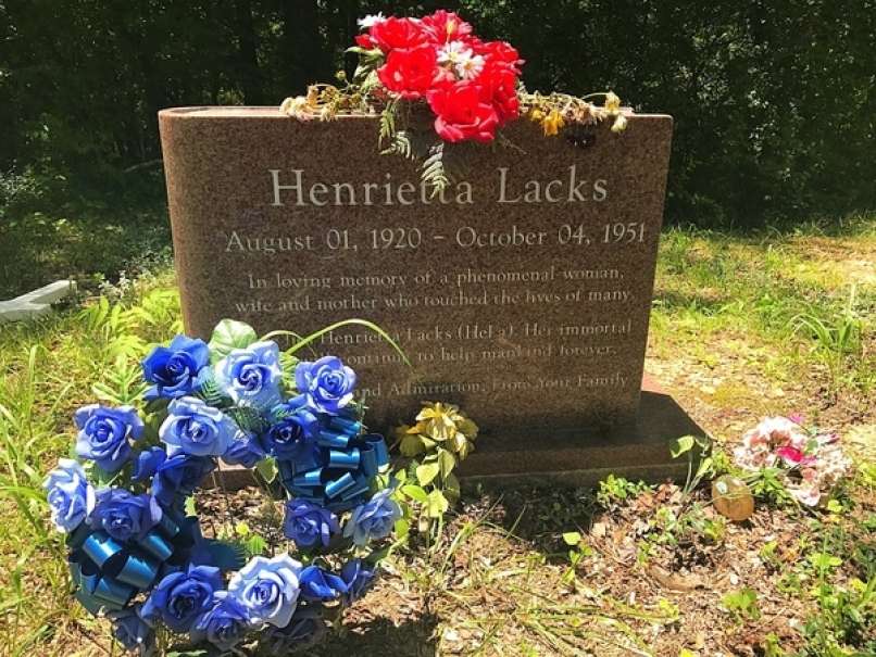 Grob Henriette Lacks Quora com