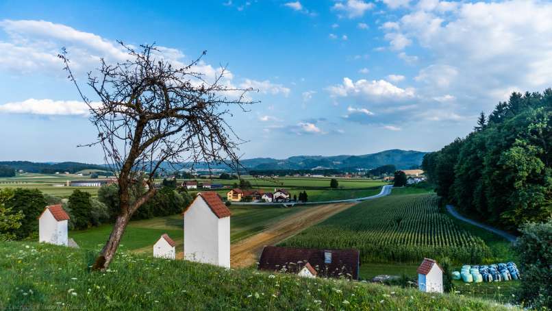 ŽALOSTNA GORA
