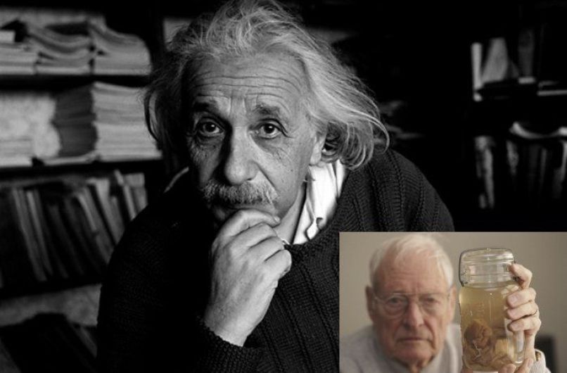 Einstein - Thomas Harvey