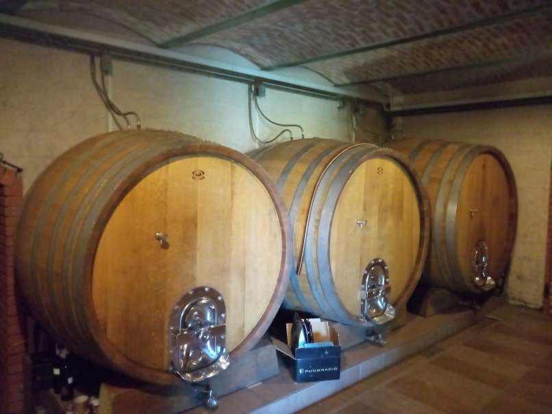 Pungracic vinski sodi (2)