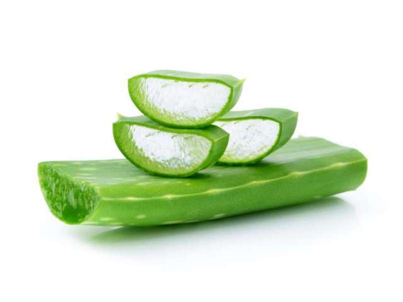 aloe vera  članek 4