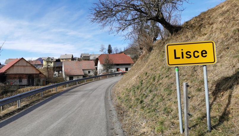 lisce, umor