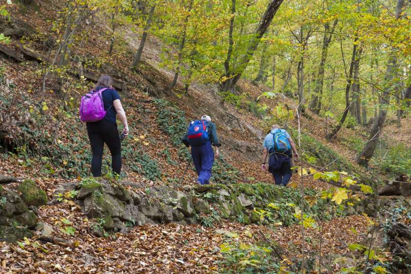 Planinarenje_Fruška_gora