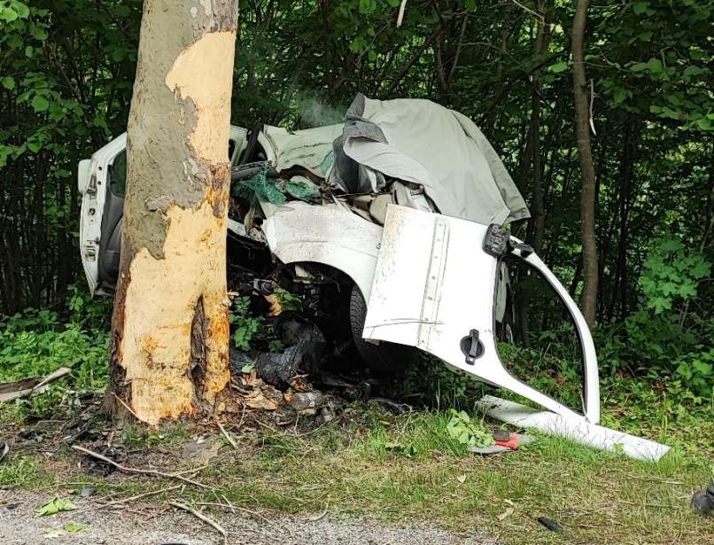 senožeče, kombi, prometna-nesreča, drevo