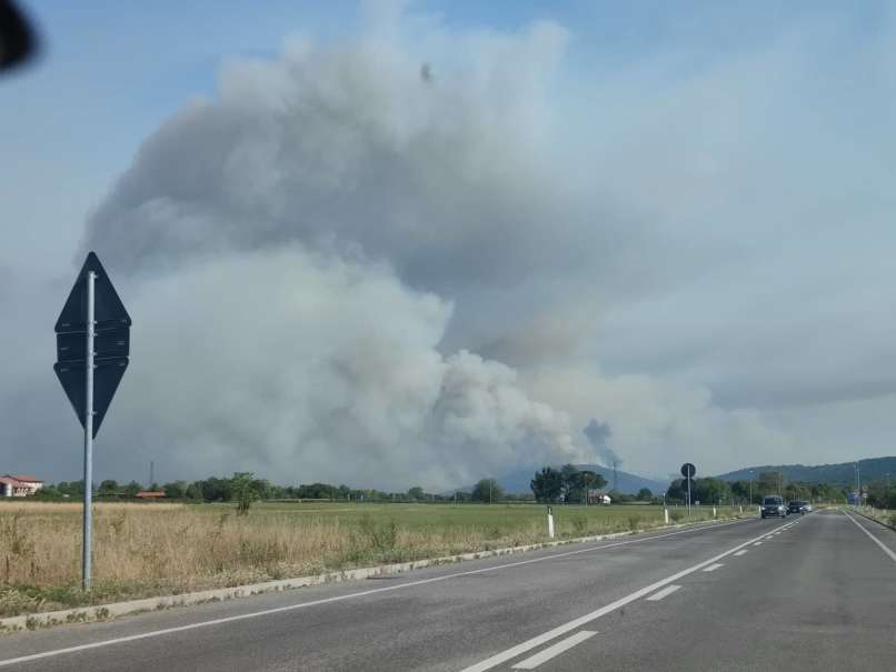 požar pri trstu