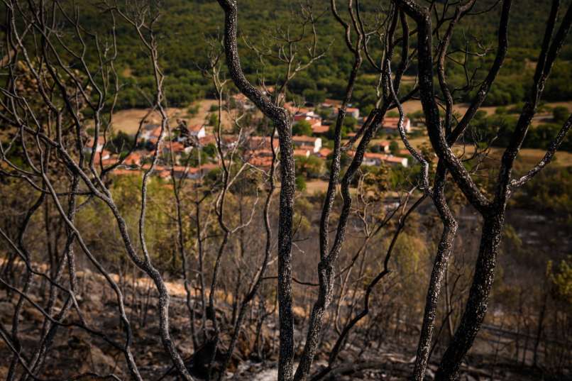 brestovica-pri-komnu, požar