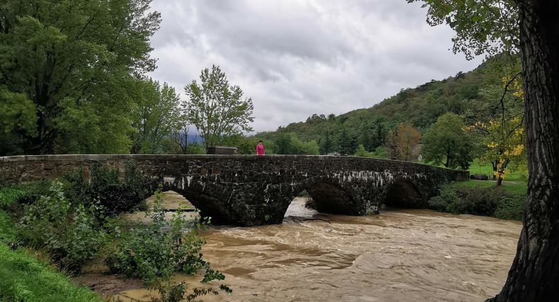 vipava