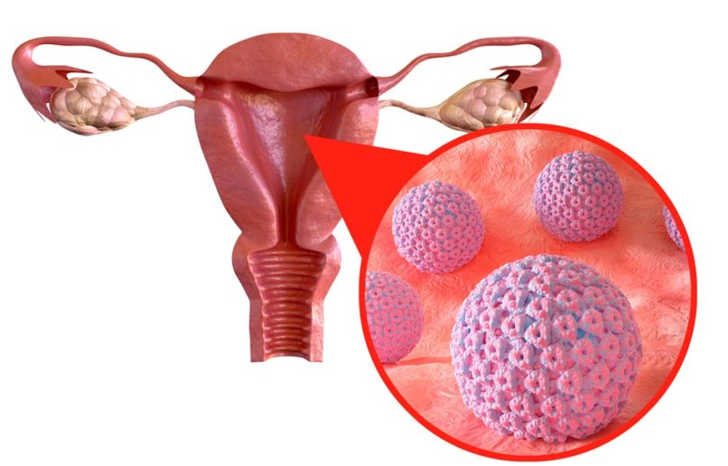 HPV virus