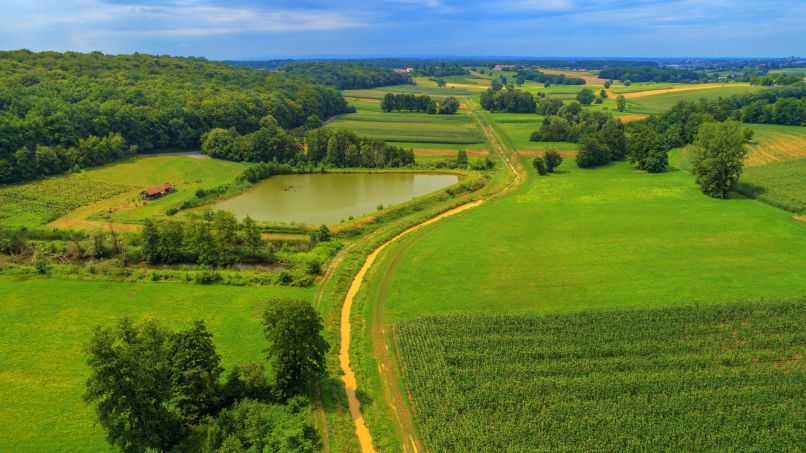 Zelenilo šuma i predivni vidici s Bilogore, Moslavine i Papuka (Š. Brajković)