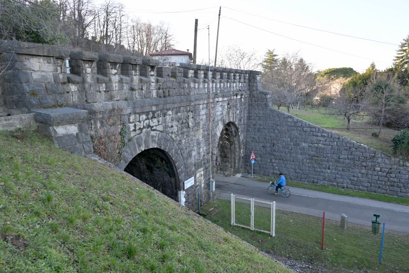 kostanjevica
