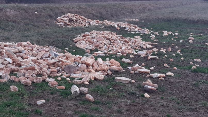 Kruh, njiva, Koromači