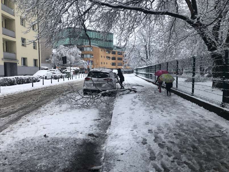 sneg, celje