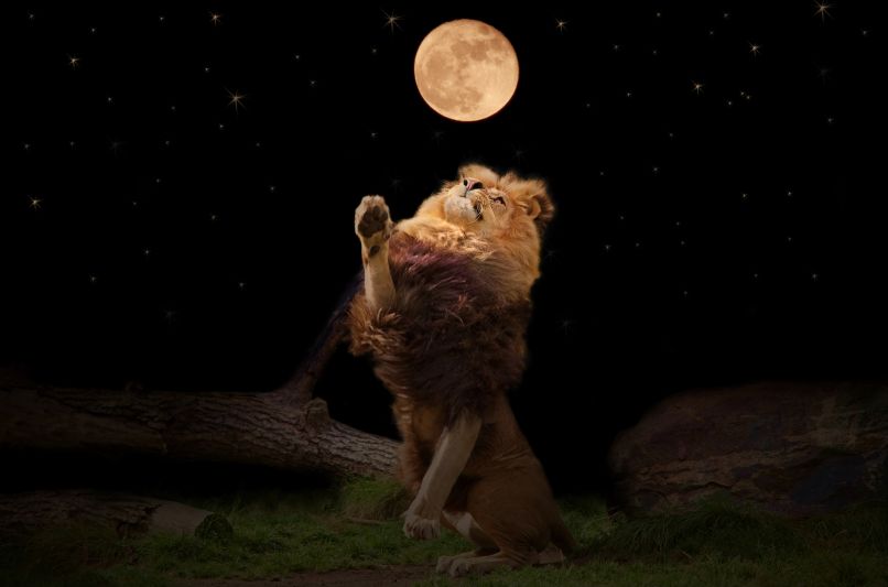 polna luna