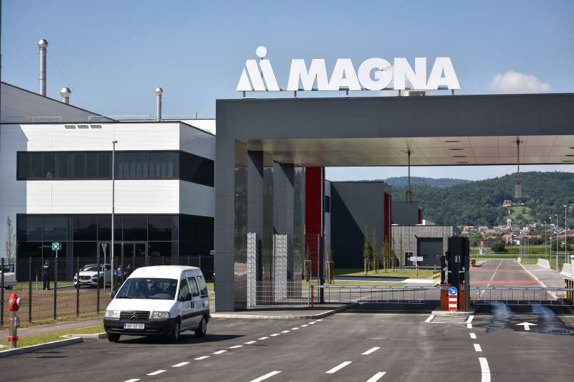 magna