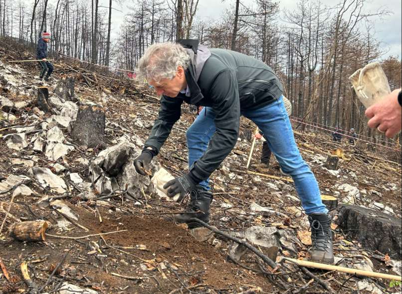 golob pogozduje
