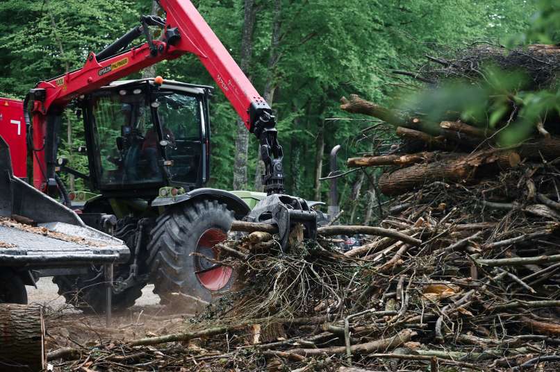 simbolična, sekanec, gozdna-opravila, gozdarstvo, mehanizacija, drobilec