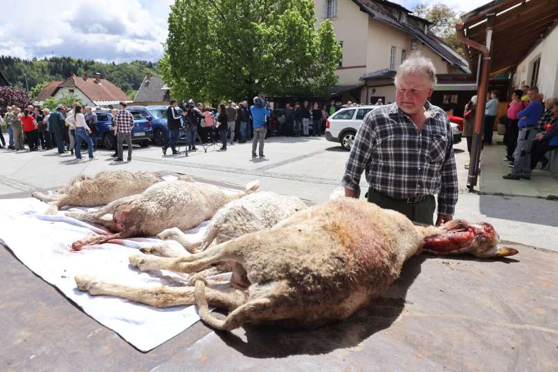 protest-kmetov, zgornje-gorje